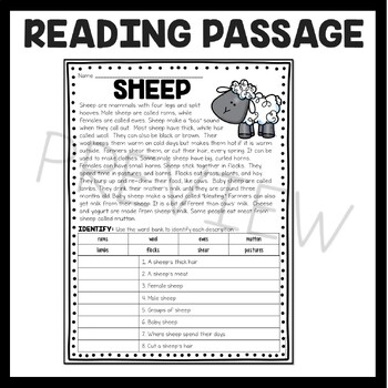 Sheep Informational Text Reading Comprehension Worksheet Farm Animals