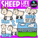 Sheep Life Cycle Clip Art Set {Educlips Clipart}