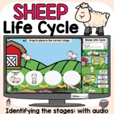Sheep Life Cycle | Spring Mammal | Digital Boom Cards