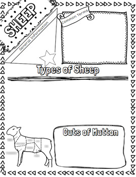 Preview of Sheep Notes