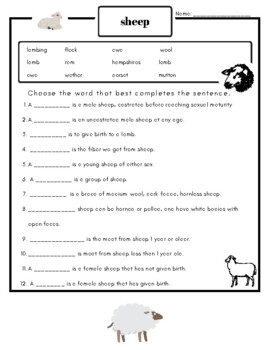 Sheep Terminology Worksheet by Cassandra's Ag Curriculum | TPT