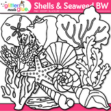 Shell Clipart: Seashells Coral Driftwood Clip Art Transpar