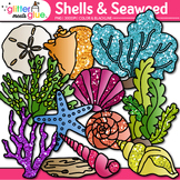 Shell Clipart: Seashells, Starfish, Coral Clip Art Transpa
