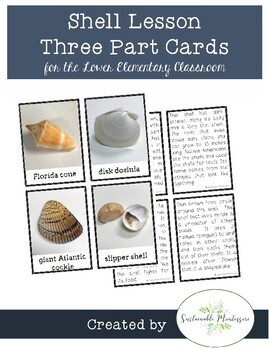 Preview of Shell Lesson Three Part Cards
