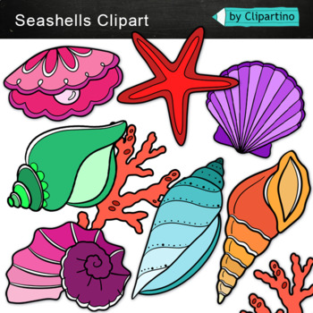 Preview of Shells, Seashells Clip Art, Commercial Use