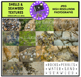 Shells and Seaweed Textures Photo Set {Educlips}
