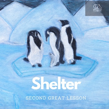 Preview of Shelter Lesson and Video Bundle