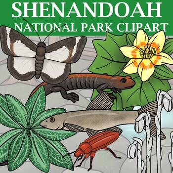 Preview of Shenandoah National Park Clip Art - Plants and Animals of the National Parks