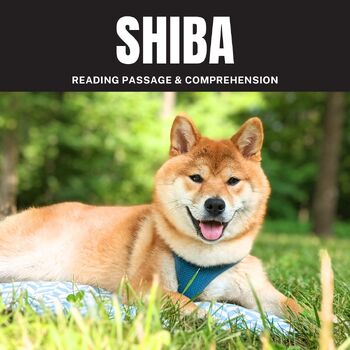 Preview of Shiba Dog Reading Passage &Comprehension for grade 2nd 3rd and 4th