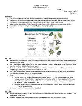 Preview of Shoe Dichotomous Key Lab