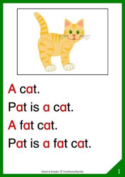 Short Vowel A Reader & Worksheets & Flashcards: Pat the Cat by