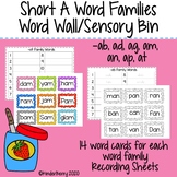 Short A (ab, ad, ag, am, an, ap, at) Family Word Work / Se