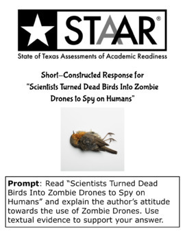Preview of Short Constructed Response for "Zombie Drones to Spy on Humans"