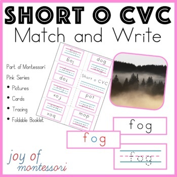 Preview of Short o CVC Words Worksheets