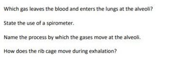 Preview of Short Questions on Human Breathing