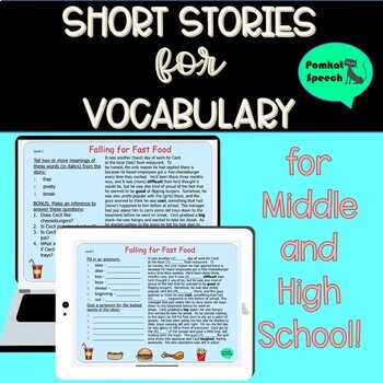 Preview of Short Stories for Vocabulary for Middle & High School