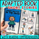 Short Story Adapted Book: Sandy Has Fun in the Snow