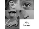 Short Story Writing Activity: 5 Senses/Jumbled Story Arch 