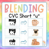 Short U CVC Digital Blending Board