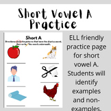 Short Vowel A Practice