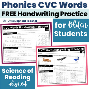 Cvc words worksheets for older students | TPT