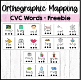 Orthographic  Mapping CVC Cards