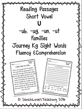 Preview of Short Vowel U Families (-ub, -ug, -un, -ut) : Fluency & Comprehension Passages