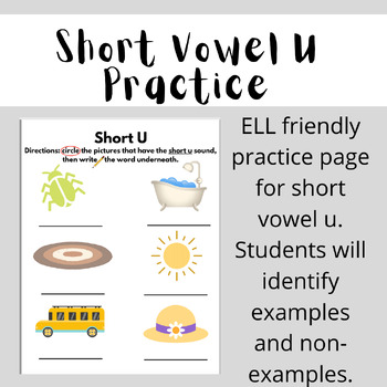 Preview of Short Vowel U Practice