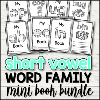 CVC Word Families Mini Books - Read Match Color