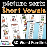 Word Family CVC Picture Sorts