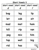 Two Syllable Short Vowel Words Worksheets & Teaching Resources | TpT
