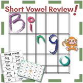 Short Vowel Words Bingo