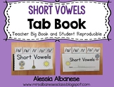 Short Vowels (CVC) Tab Book