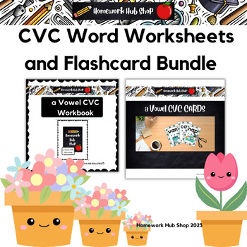 BLEND & CHECK CVC WORDS BLACK AND WHITE PICTURE FLIP BOOKS