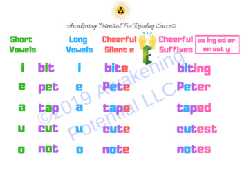 Preview of Short and Long Vowels and the Silent e-Phonics Sheet for Dyslexia