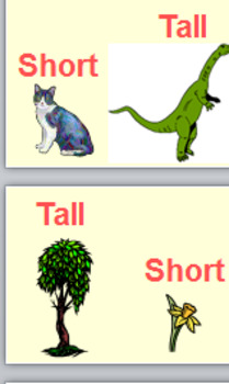 Preview of Short and tall powerpoint