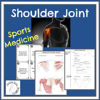 Preview of Shoulder Joint