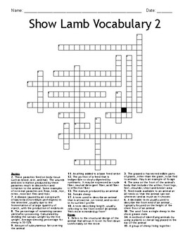 Show Lamb Vocabulary 2 Crossword by Recer Teaches Ag Class TPT