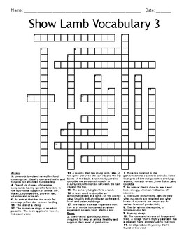 Show Lamb Vocabulary 3 Crossword by Recer Teaches Ag Class TPT