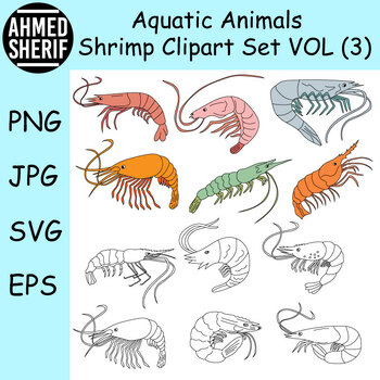 Preview of Shrimp Clipart Set. Outline & Colorful Shrimps Sea Animals | Commercial Use