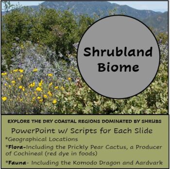 Preview of Shrubland/Scrubland/Chaparral / Biome PowerPoint Lesson with Script
