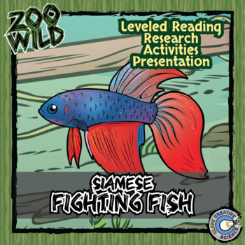 Preview of Siamese Fighting Fish (Betta) Activities - Reading, Printables, Slides & Digital
