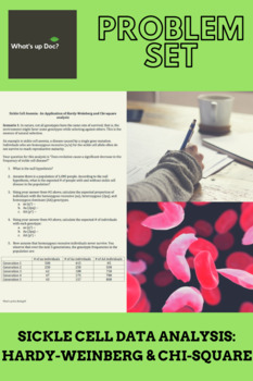 Preview of Sickle Cell Data Analysis: Hardy-Weinberg and Chi-Square