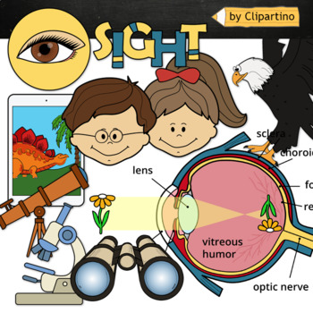 Preview of Sight Clip art / Five Senses Clip Art/ Science Clip Art