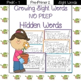 Sight Word- Hidden Words Pre-Primer 2