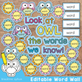 Word Wall or Bulletin Board | Owl Theme
