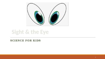 Preview of Sight and the Eyes for Kids