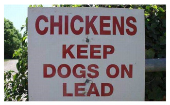 punctuation mistakes on signs