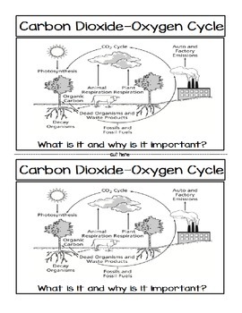Preview of Significance of the Carbon Dioxide‐Oxygen Cycle