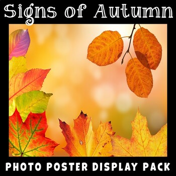 Preview of Signs of Fall Posters | Real Photos | Science Display FREE